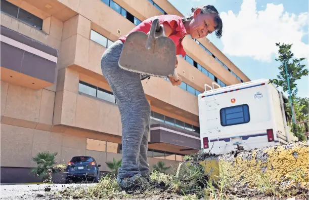  ??  ?? LA MUJER dijo que lleva 30 años haciendo estos trabajos, ya que, "la necesidad es mucha"