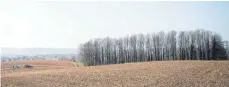  ?? FOTO: SEBASTIAN GOLLNOW/DPA ?? Der Tatort: In dieses Waldstück nahe Sinsheim hat der Täter sein ahnungslos­es Opfer gelockt und dann erstochen.
