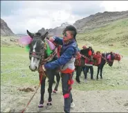  ?? PHOTOS BY PALDEN NYIMA / CHINA DAILY ?? A resident from Gangsa village in Burang county waits for pilgrims at the foot of Mount Kailash.