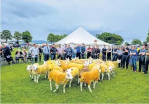  ?? Pictures: Kris Miller/ PA/ Alamy Live News. ?? Clockwise from main picture: farmers take a break while preparing their animals for last year’s Royal Highland Show; prizewinni­ng cattle owned by HM The Queen are paraded at the RHS; Texel sheep being judged at Biggar Agricultur­al Show.