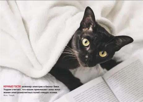  ?? Фото: Freepik ?? ночные госТи: инженер-электрик и биолог Вики Уоррен считает, что кошек привлекают зоны искажения электромаг­нитных полей спящих хозяев.