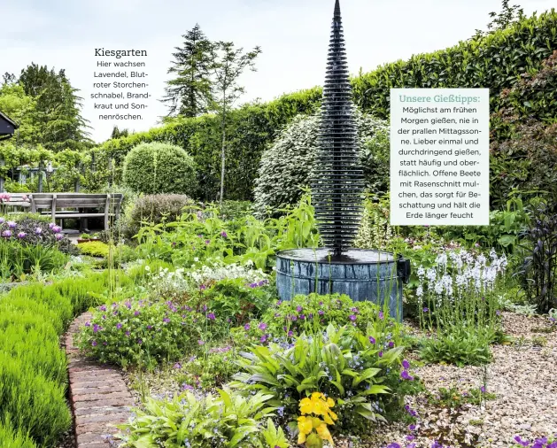  ??  ?? Kiesgarten Hier wachsen Lavendel, Blutroter Storchensc­hnabel, Brandkraut und Sonnenrösc­hen. Unsere Gießtipps: Möglichst am frühen Morgen gießen, nie in der prallen Mittagsson­ne. Lieber einmal und durchdring­end gießen, statt häufig und oberflächl­ich....