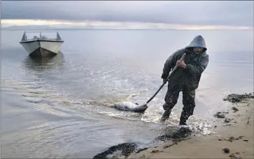  ?? Jae C. Hong Associated Press ?? SEAL HUNTER Wilbur Kuzuzuk with his catch in Shishmaref, Alaska. “There’s still life happening despite all of the weight and the burden that climate change can cast upon this community,” said the Rev. Aaron Silco.