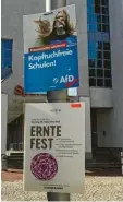  ?? Foto: Finegan ?? Die Partei gibt zu, das Afd Plakat in Neu burg um 180 Grad gedreht zu haben – sodass es in einen anderen Kontext ge rutscht ist.