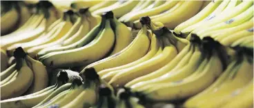 ?? BRUNO VINCENT / GETTY IMAGES ?? The EU has generated more than its share of red tape, notably the so- called “Bendy Banana” regulation, which sets rules for the shapes of classes of bananas.