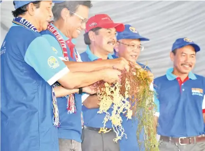  ??  ?? SHABERY, Nasir dan Ramlee mengangkat timbunan rumpai laut sebagai simbolik perasmian majlis.