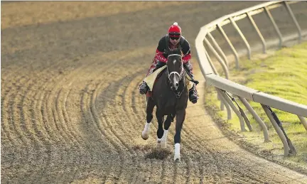  ?? PATRICK SMITH/GETTY IMAGES ?? Classic Empire trains at Baltimore’s Pimlico Race Course on Thursday ahead of Saturday’s Preakness Stakes. Pimlico has been the home of the Preakness for the last 108 years, though the decrepit state of the track has some suggesting the race should be...