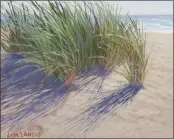  ??  ?? “Dune Grass and Shadow” is one of Lisa Landis’ creations. She is showing her work at Garden Gate in Arcata.