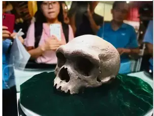  ?? — China Daily/Asia News Network ?? Important discovery: The fossil skull of Homo heidelberg­ensis on display at the Hebei GEO University.