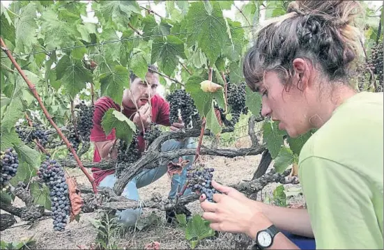  ?? KIM MANRESA ?? Un trabajador y una monitora en la masía de Can Calopa de Dalt, en la montaña de Collserola