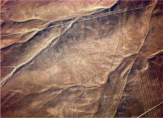  ?? (REUTERS) ?? Un géoglyphe représenta­nt un singe dans le désert péruvien. Le site est inscrit au patrimoine mondial de l’Unesco depuis 1994.