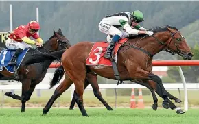  ?? RACE IMAGES ?? Not An Option is a frontrunne­r for the Karaka Million two-year-old race.