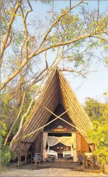  ??  ?? THE BANDAS at Greystoke Mahale Camp in Tanzania are two-storied, with a bedroom downstairs and a yoga loft upstairs.