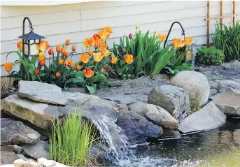  ?? METRO CREATIVE ?? Water features, such as ponds or waterfalls, can add a special touch to the landscape.