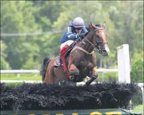  ?? PHOTO BY CHELSEA DURAN, PROVIDED BY NYRA ?? Surprising Soul and Optimus Prime prepare for the 2020runnin­g of the A.P. Smithwick at the Saratoga Race Course.