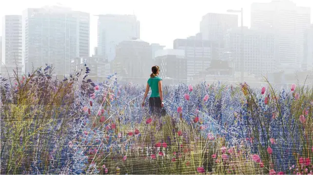  ?? LEMAY ?? L’hommage prendra la forme d’une dalle inclinée qui sera couverte de 21 espèces de plantes et de fleurs, une propositio­n de la firme Lemay, de SNC-Lavalin et de l’artiste Angela Silver.