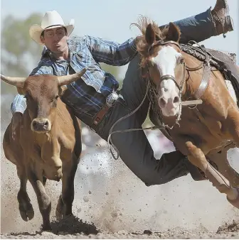  ??  ?? FRONTIER FESTIVAL: Cheyenne Frontier Days features traditiona­l Indian dances, left, and rodeo events, above, like steer wrestling, bronc busting and bull riding.