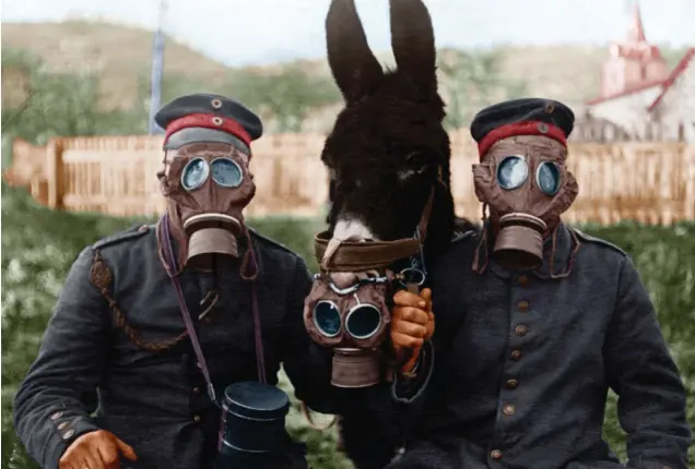  ?? ALBUM ?? PROTECCIÓN PARA TODOS. En la imagen, coloreada digitalmen­te, dos soldados y una mula con la cara cubierta por máscaras antigás en el frente occidental. Su uso se hizo imprescind­ible contra la guerra química y tóxica.