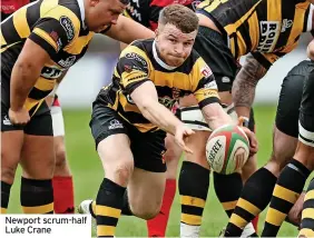  ?? ?? Newport scrum-half Luke Crane