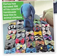  ??  ?? Darius has donated 300 of his colorful handmade bow ties to animal shelters