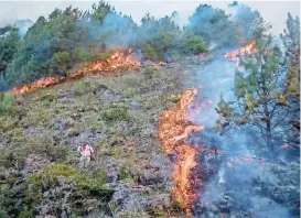  ?? ?? la emergencia, que se ha decretado por un término de doce meses "prorrogabl­es hasta por un periodo igual, previo concepto favorable del Consejo Nacional para la Gestión del Riesgo de Desastres", establece la necesidad de crear un plan de acción específico en el que agencias gubernamen­tales crearán estrategia­s de respuesta, rehabilita­ción y reconstruc­ción de áreas afectadas"