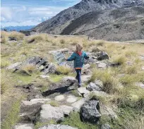  ?? PHOTO: SALLY FORD ?? Mila Ford (50) enjoys a day in the Remarkable­s on an alpine plant hunt organised by the Wakatipu Reforestat­ion Trust.