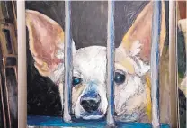  ??  ?? A dog named Pat is among those portrayed in Mark Barone’s paintings.