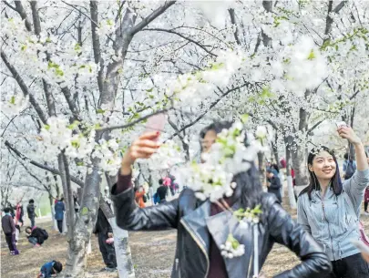  ?? [Fred Dufour/afp Via Getty Images] ?? Verordnete Harmonie: China wünscht sich kooperativ­e, regelkonfo­rme Menschen.