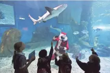  ?? JULIAN SMITH, EPA ?? Children gaze at a diver dressed as Santa Claus and a nearby speartooth shark Thursday at the Sea Life Melbourne Aquarium in Australia.