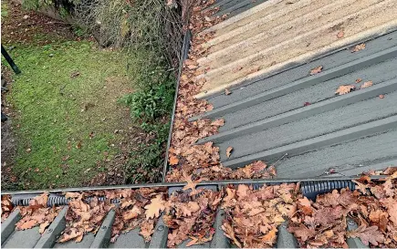  ?? PHOTO: FOURSEASON­S GUTTER PRO. ?? A leaf blocking device that sits in your guttering will allow the water to flow while ensuring any debris like leaves can’t sit and block the gutter.