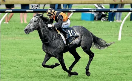  ?? PHOTOSPORT ?? Danzdanzda­nce demolished the field winning the Zabeel Classic at her last start on a heavy track at Ellerslie on Boxing Day. She faces a good track at Te Rapa today.