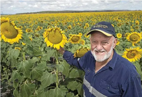  ?? PHOTO: KEVIN FARMER ?? PASSIONATE SPOKESMAN: Australian Sunflower Associatio­n chairman Kevin Charleswor­th.