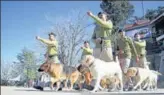  ?? DEEPAK SANSTA/HT ?? Police dogs rehearse for the R-day parade on The Ridge in Shimla on Thursday.