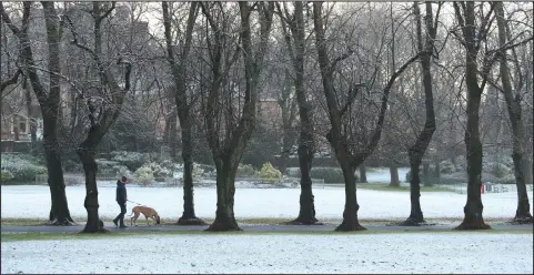  ??  ?? A dog walker faces the elements in a snow-covered Maxwell Park in Pollokshie­lds, Glasgow Picture: Colin Mearns