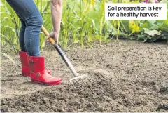  ??  ?? Soil preparatio­n is key for a healthy harvest