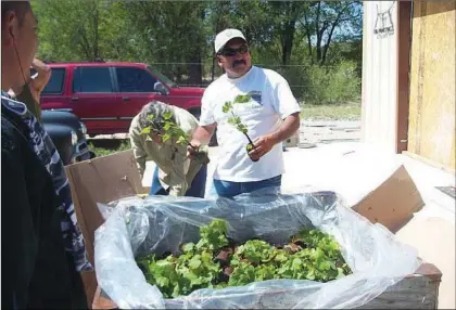  ?? Courtesy photo ?? Robert Naranjo unloads rootstock for a Northern New Mexico wine growers associatio­n, a project that was helped by LANL’s community commitment.