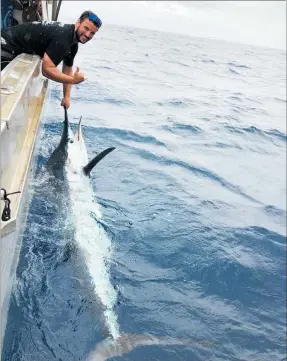  ?? PICTURE / SUPPLIED ?? SNAGGED: Matt Masters in the process of tagging and releasing a striped marlin during the Radz Challenge which took place off the west coast of Ahipara on Saturday and Sunday.