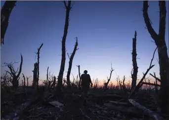  ?? MSTYSLAV CHERNOV - THE ASSOCIATED PRESS ?? Ukrainian servicemen walk through a charred forest at the front line near Andriivka, Donetsk region, Ukraine, on Sept. 16.