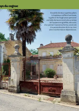  ??  ?? Encadrée de deux superbes piliers à chapiteaux coiffés d’une boule, la grille en fer forgé laisse apercevoir une belle demeure construite au temps de l’opulence et gratifiée, elle aussi, d’un palmier ! L’ancienne ferme, construite à la perpendicu­laire...