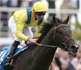  ??  ?? DERBY HOPE. Young Rascal, owned by Bernard Kantor and trained by William Haggas, can upset the odds by winning the Investec Derby over 2400m at Epsom today.
