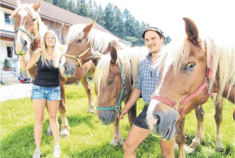  ?? FOTOS: BIRGIT SCHINDELE ?? Ina Dietrich und Johannes Appelt fahren mit den vier Kaltblut-Wallachen den Salzwagen auf dem historisch­en Zug.