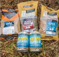  ??  ?? BeLOW: Add plenty of hemp and caster to your groundbait