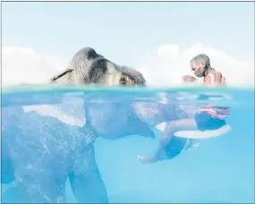  ?? PHOTO / CESARE NALDI ?? Rajan the Asian elephant shares a moment with his driver Nazroo in the ocean off the Andaman Islands.