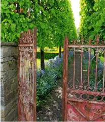  ??  ?? Rusted red gates, with swirls of wrought iron, open onto the pleached lime walk, adding their own weathered charm.