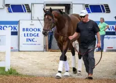  ?? Jerry Jackson, The Baltimore Sun ?? Kentucky Derby runner up and Preakness favorite Epicenter arrives Tuesday at Pimlico Race Course in Baltimore.