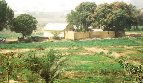  ??  ?? Another view of Sarkin Ruwa’s house