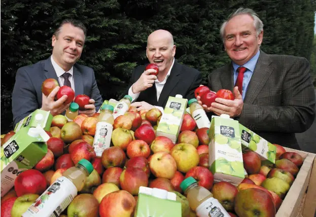  ??  ?? Sean Gallagher with Malachy Magee and Peter Mulrine and apples from the Mulrine orchard. Photo: Brian Farrell