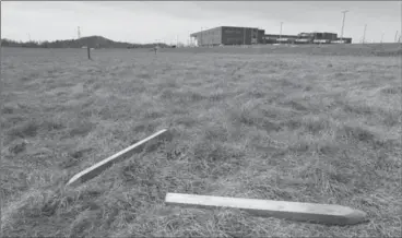  ?? PETER LEE, RECORD STAFF ?? Wooden stakes left behind after a project by civil engineerin­g students at Conestoga College, Cambridge campus, Fountain Street. This is where the City of Cambridge appeared poised to drop a massive sports multiplex two years ago.