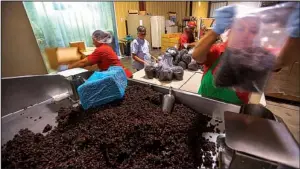  ?? Washington Post/CHRIS HARDY ?? Workers measure out 5-pound bags of raisins at a co-op in Kerman, Calif. Raisin farmer Marvin Horne has refused to contribute to a mandatory reserve for the past 11 years.