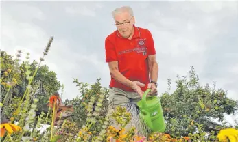  ?? FOTO: TBB ?? Hans-Peter Schumacher vom Verein der Gartenfreu­nde Meckenbeur­en gießt die Blumen in seinem Garten.